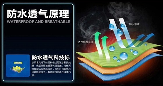 QQ截图20170307164940